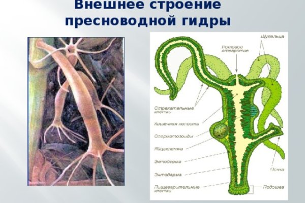 Кракен ссылка маркет