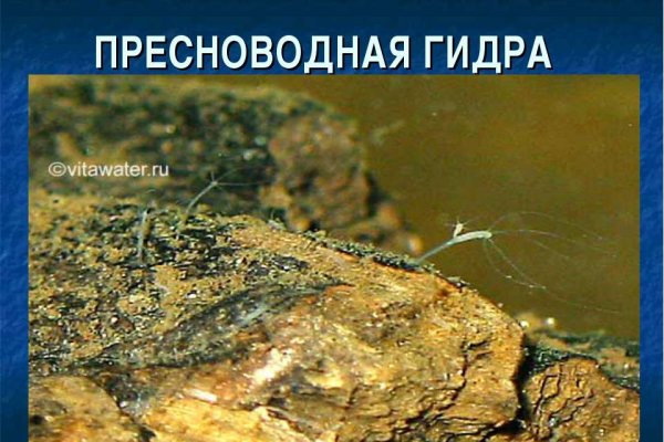 Как сделать заказ на кракен